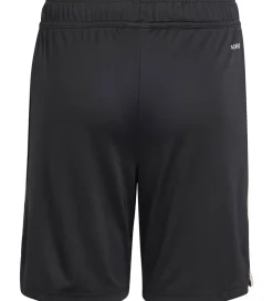 Fodboldshorts|Fodbold-adidas Originals Shorts - FC Bayern München 25/26 3. Sæt - Sort