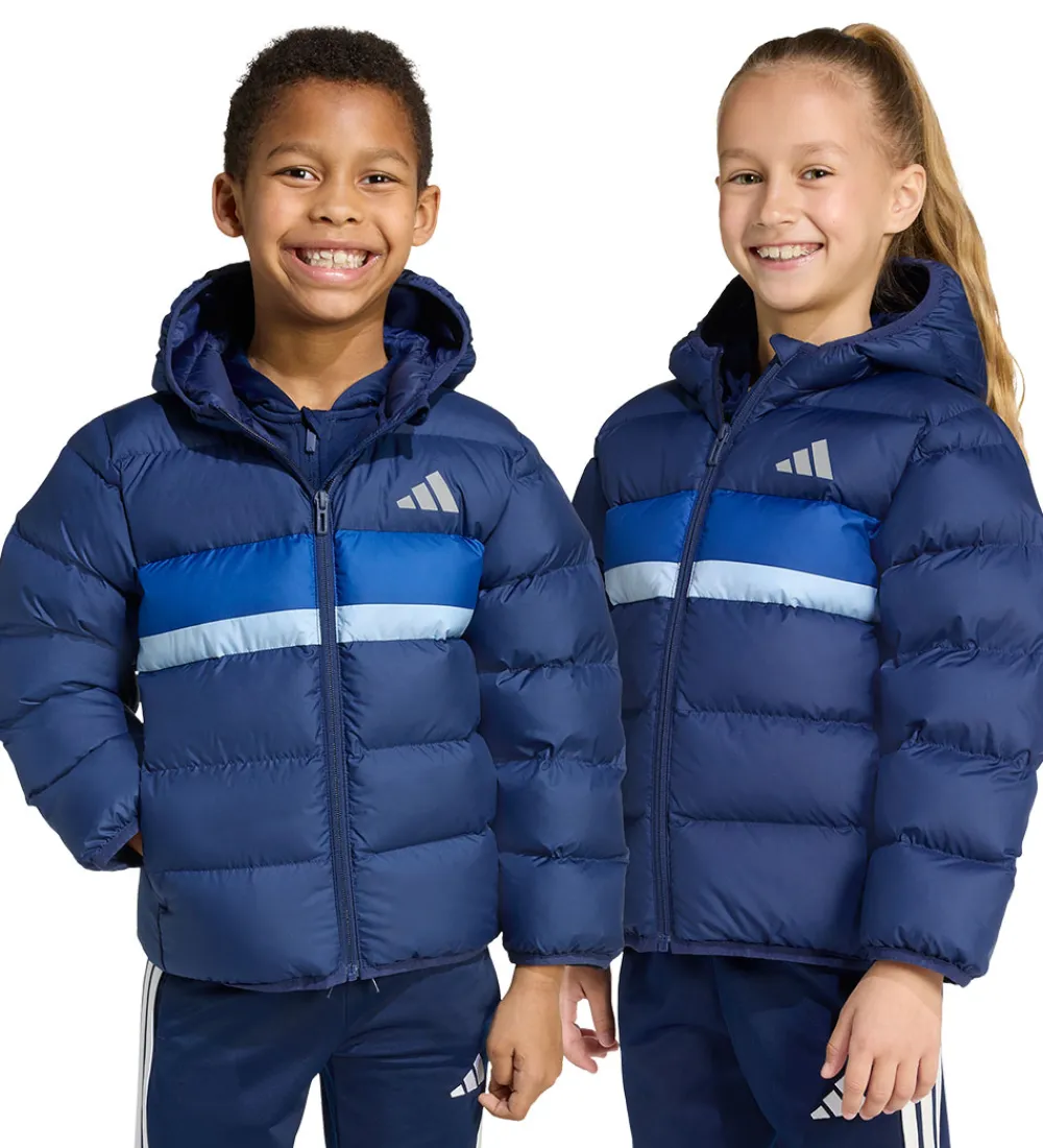 Overgangsjakker|Dunjakker Og Dynejakker-adidas Performance Dynejakke - LK SD - Dkblue/Royblu/Globlu
