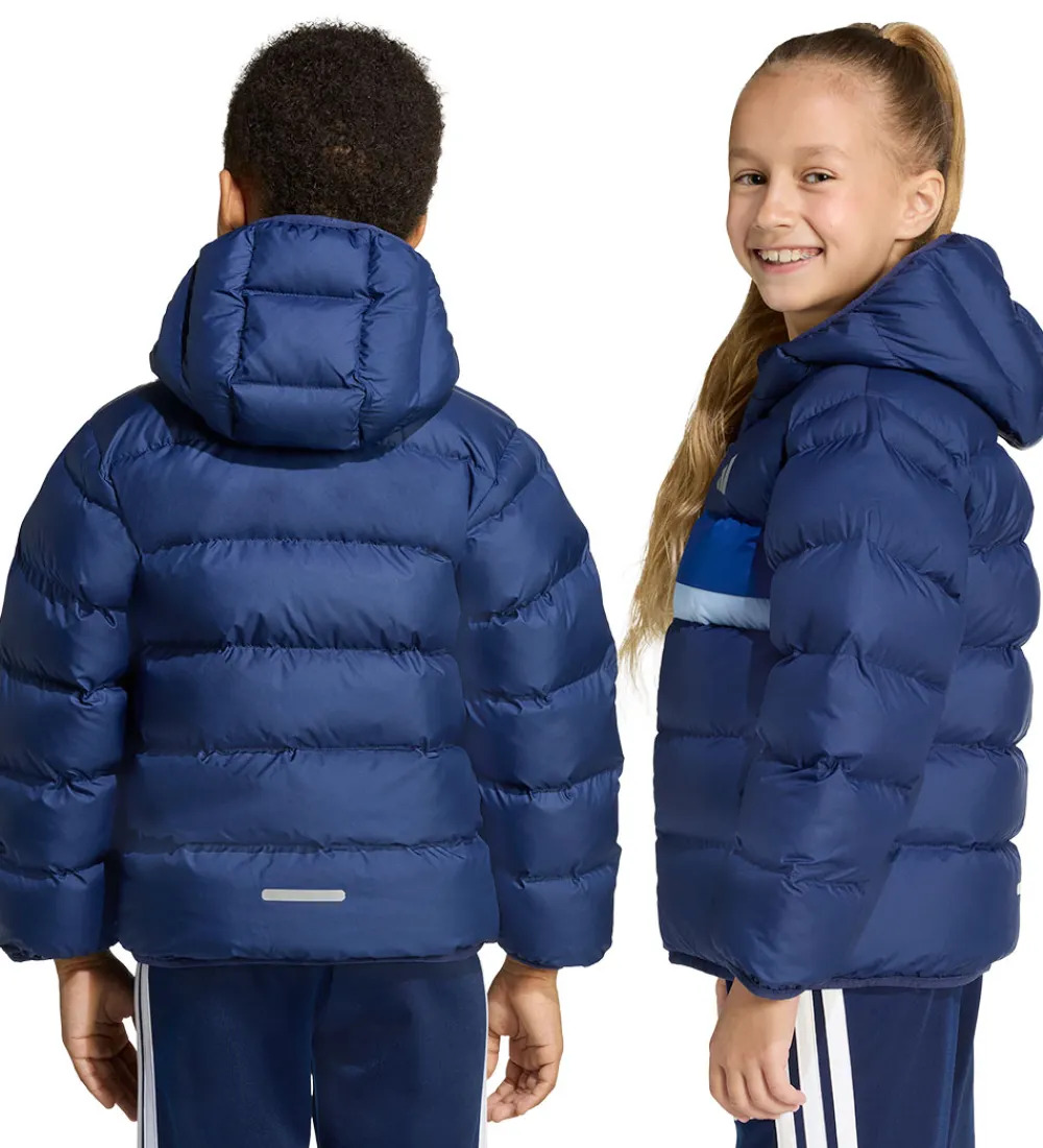 Overgangsjakker|Dunjakker Og Dynejakker-adidas Performance Dynejakke - LK SD - Dkblue/Royblu/Globlu