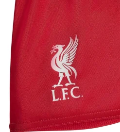 Fodboldtrøjer|Fodboldshorts-adidas Performance Fodboldsæt - Liverpool 25/26 Hjemmebane - Str