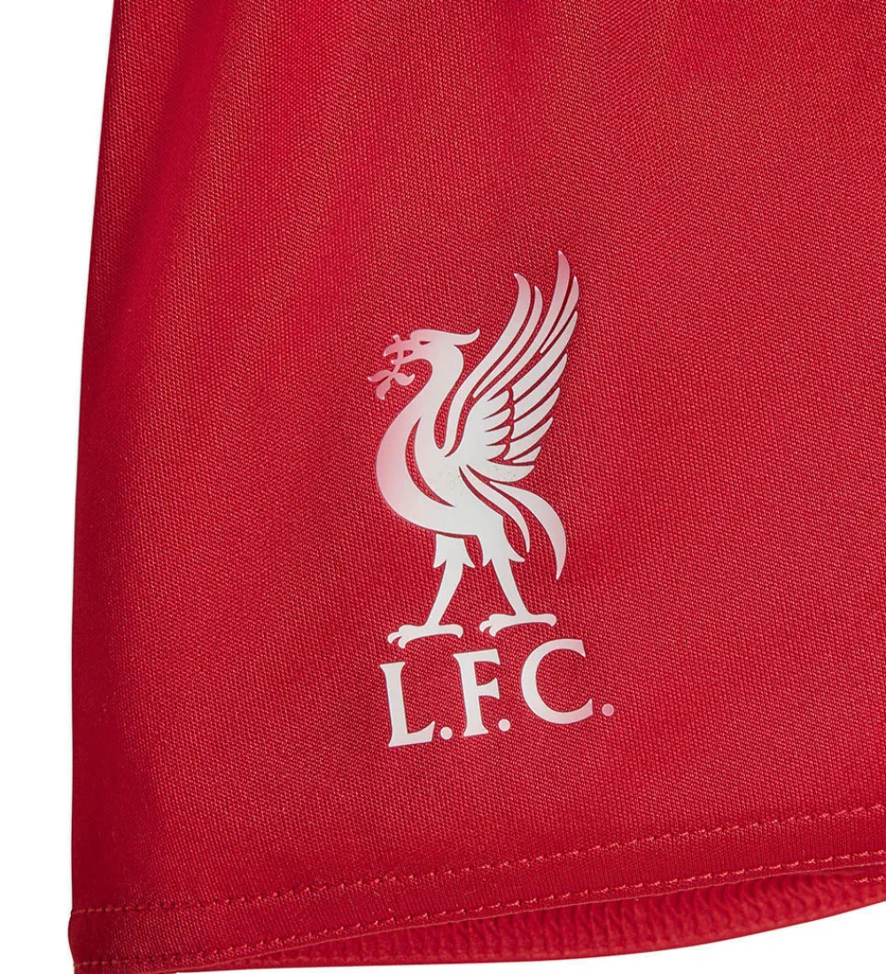 Fodboldtrøjer|Fodboldshorts-adidas Performance Fodboldsæt - Liverpool 25/26 Hjemmebane - Str