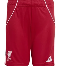 Fodboldshorts|Fodbold-adidas Performance Shorts - Liverpool 25/26 Hjemmebane - Strred