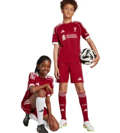Fodboldshorts|Fodbold-adidas Performance Shorts - Liverpool 25/26 Hjemmebane - Strred