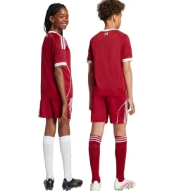 Fodboldshorts|Fodbold-adidas Performance Shorts - Liverpool 25/26 Hjemmebane - Strred