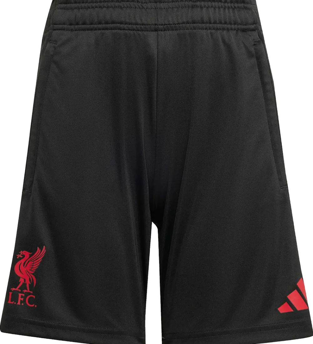 adidas Performance Fodboldshorts|Fodbold*Shorts - Liverpool - Sort
