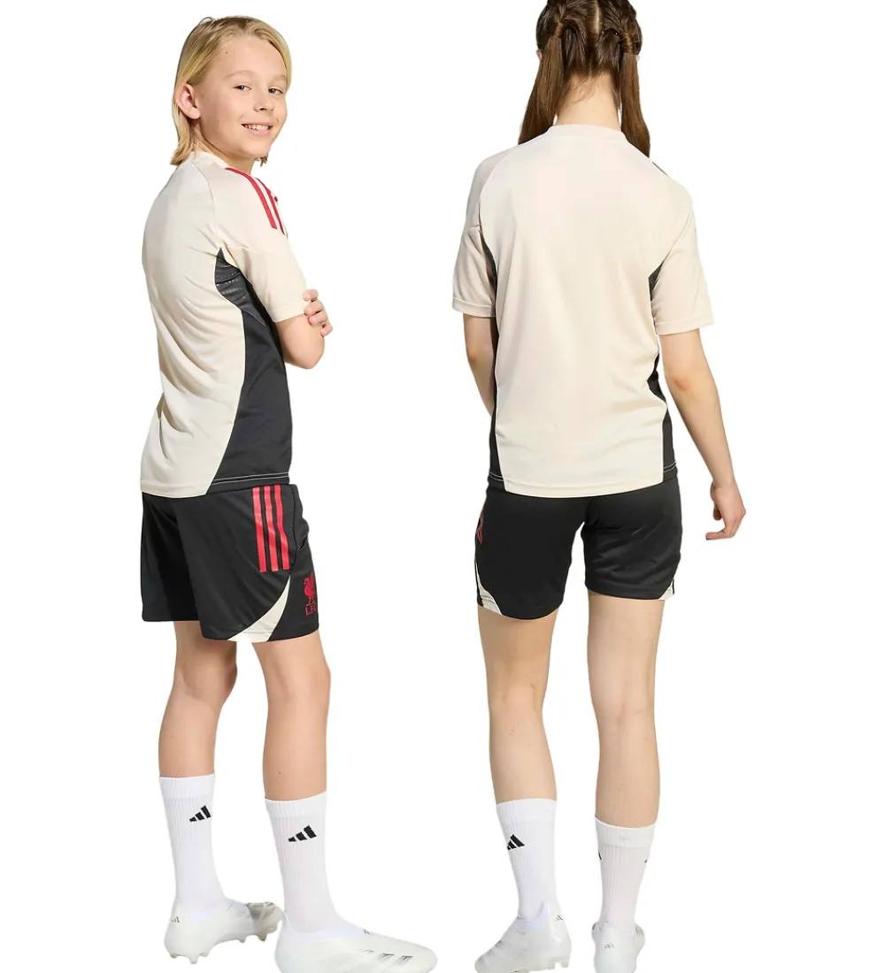 adidas Performance Fodboldshorts|Fodbold*Shorts - Liverpool - Sort