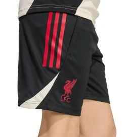 adidas Performance Fodboldshorts|Fodbold*Shorts - Liverpool - Sort