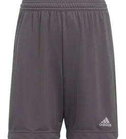 Sportsshorts|Fodboldshorts-adidas Performance Shorts - Entrada 22 - Grå