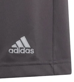 Sportsshorts|Fodboldshorts-adidas Performance Shorts - Entrada 22 - Grå