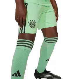 adidas Performance Fodboldshorts|Fodbold*Shorts - FC bayern München 25/26 Målmand - Gl