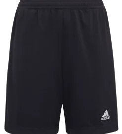 adidas Performance Sportsshorts|Fodboldshorts*Shorts - Entrada 22 - Sort