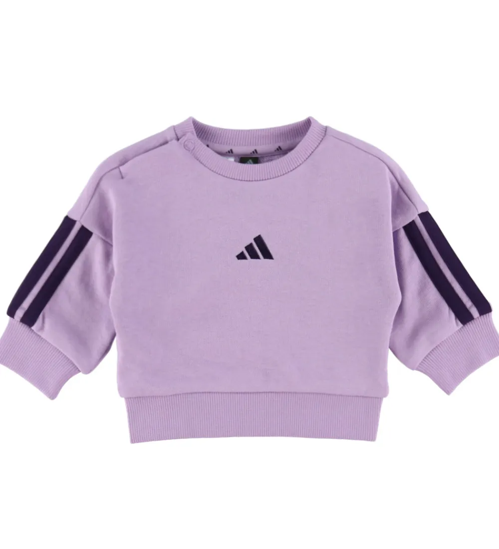 adidas Performance Sweatshirts*Sweatsæt - 240 - Powder Plum/Aurora Plum
