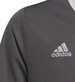 adidas Performance T-Shirts Og Toppe*T-Shirt - ENT22 JSYY - Grå/Hvid