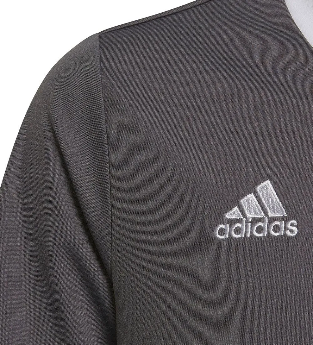 adidas Performance T-Shirts Og Toppe*T-Shirt - ENT22 JSYY - Grå/Hvid