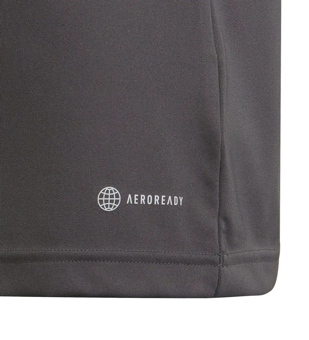 adidas Performance T-Shirts Og Toppe*T-Shirt - ENT22 JSYY - Grå/Hvid
