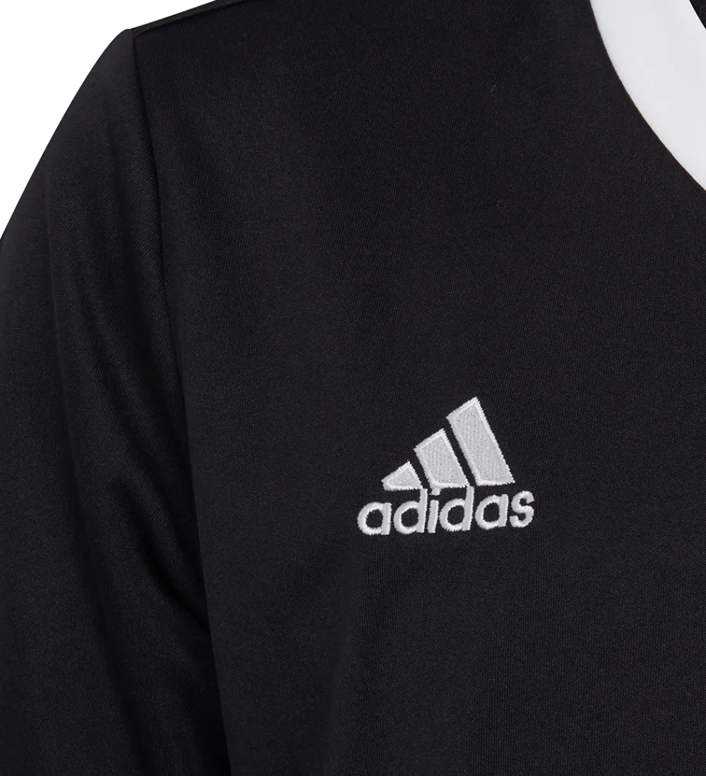 adidas Performance T-Shirts Og Toppe*T-shirt - ENT22 - Sort m. Hvid