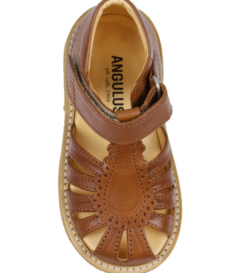 Begyndersko-Angulus Begyndersandal - Cognac