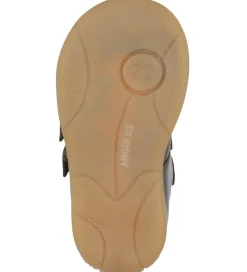 Begyndersko-Angulus Begyndersko - Prewalker - Dark Brown