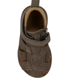 Begyndersko-Angulus Sandaler - Begynder - dark Taupe/Camel