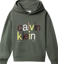 Calvin Klein Hættetrøjer*Hættetrøje - Color Logo - Thyme Green