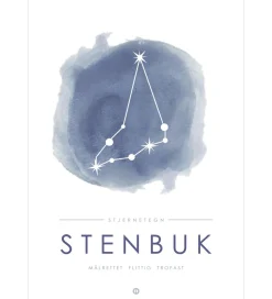 Citatplakat Plakater Og Billeder*Plakat - A3 - Stjernebillede - Stenbuk - Blå