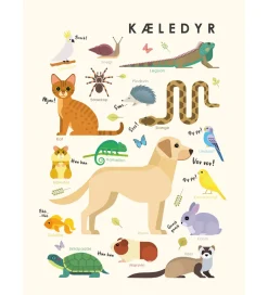 Plakater Og Billeder-Citatplakat Plakat - Børneplakat - Kæledyr - A3