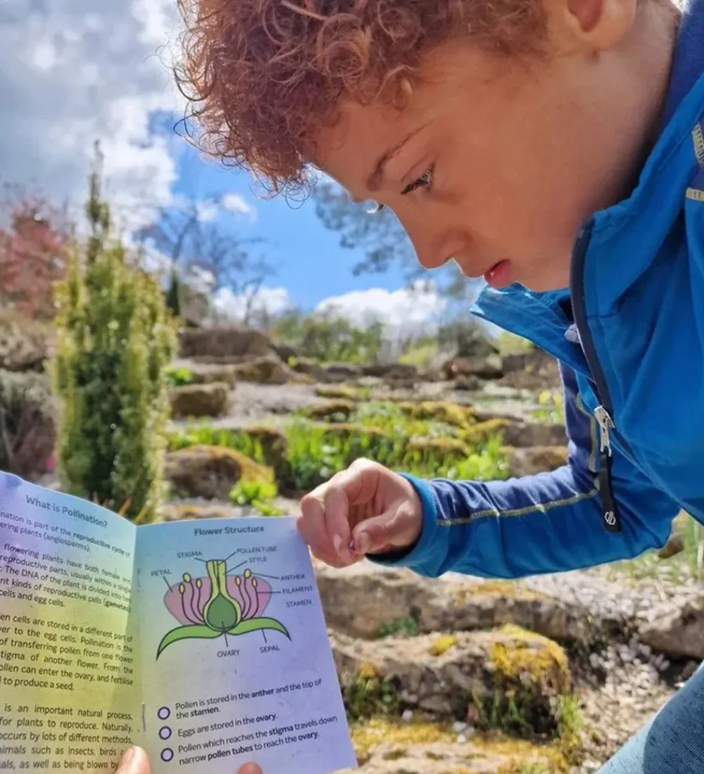 Vandleg-Dr Zigs Sæbeboblesæt - Bubble Pollinator Kit
