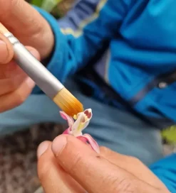 Vandleg-Dr Zigs Sæbeboblesæt - Bubble Pollinator Kit