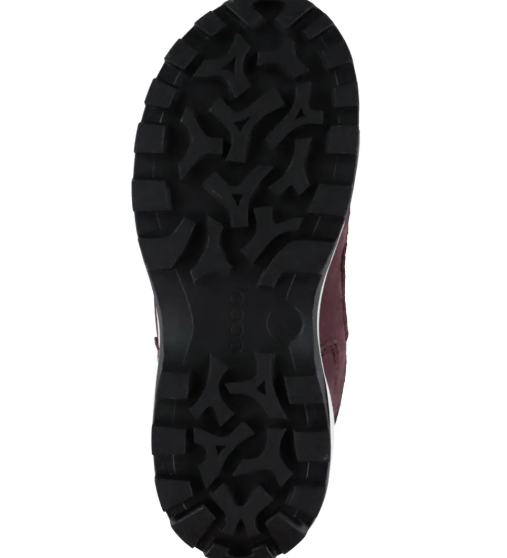 Vinterstøvler-Ecco Vinterstøvler - Snow Mountain - Boa - Tex - Black/Fig