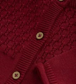 Cardigans-Fixoni Cardigan - Strik - Syrah
