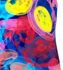 Funkita Svømmetøj*Badedragt - Printed - UV50+ - Sting Stung