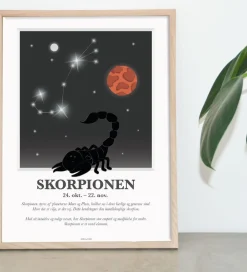 Kids by Friis Plakater Og Billeder*Plakat - Stjernetegn - Skorpionen