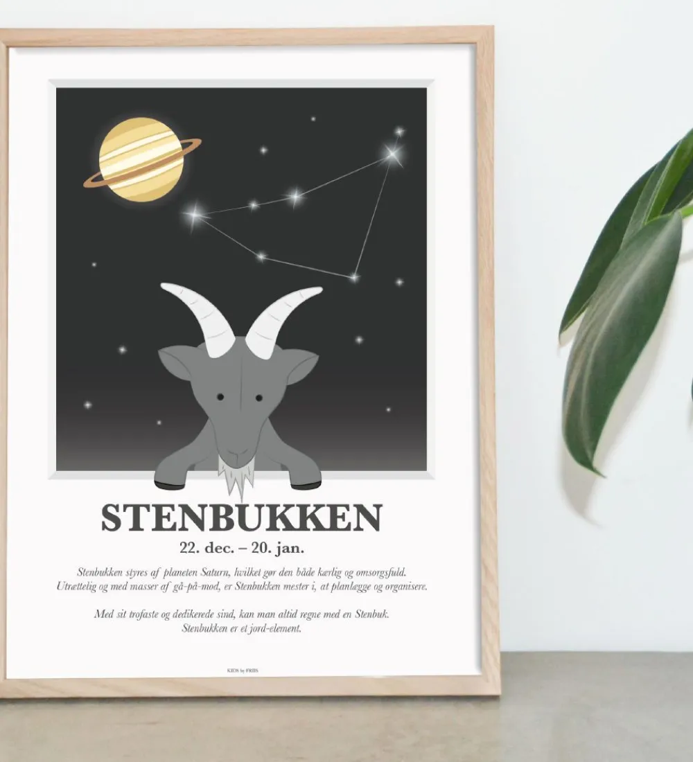 Kids by Friis Plakater Og Billeder*Plakat - Stjernetegn - Stenbukken