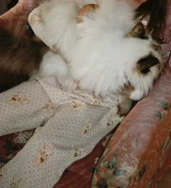 Konges Sløjd Bukser Og Jeans*Sweatpants - Belli - Miao Amore