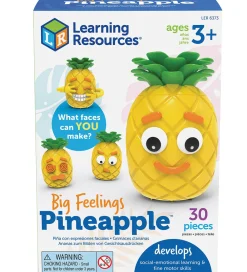 Aktivitetslegetøj-Learning Resources Aktivitetslegetøj - Lær Om Følelser - 30 Del