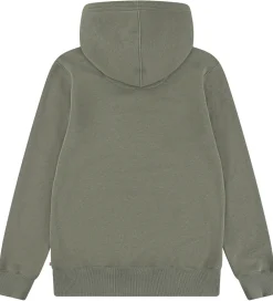 Hættetrøjer-Levis Hættetrøje - Mini Batwing - Deep Lichen Green