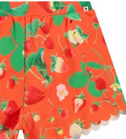 Badetøj-Molo Badeshorts - UV50+ - Neva - Strawberry Red
