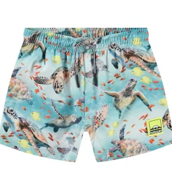 Badetøj-Molo Badeshorts - UV50+ - Niko - Marine Turtles