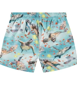 Badetøj-Molo Badeshorts - UV50+ - Niko - Marine Turtles