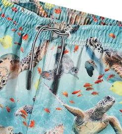 Badetøj-Molo Badeshorts - UV50+ - Niko - Marine Turtles