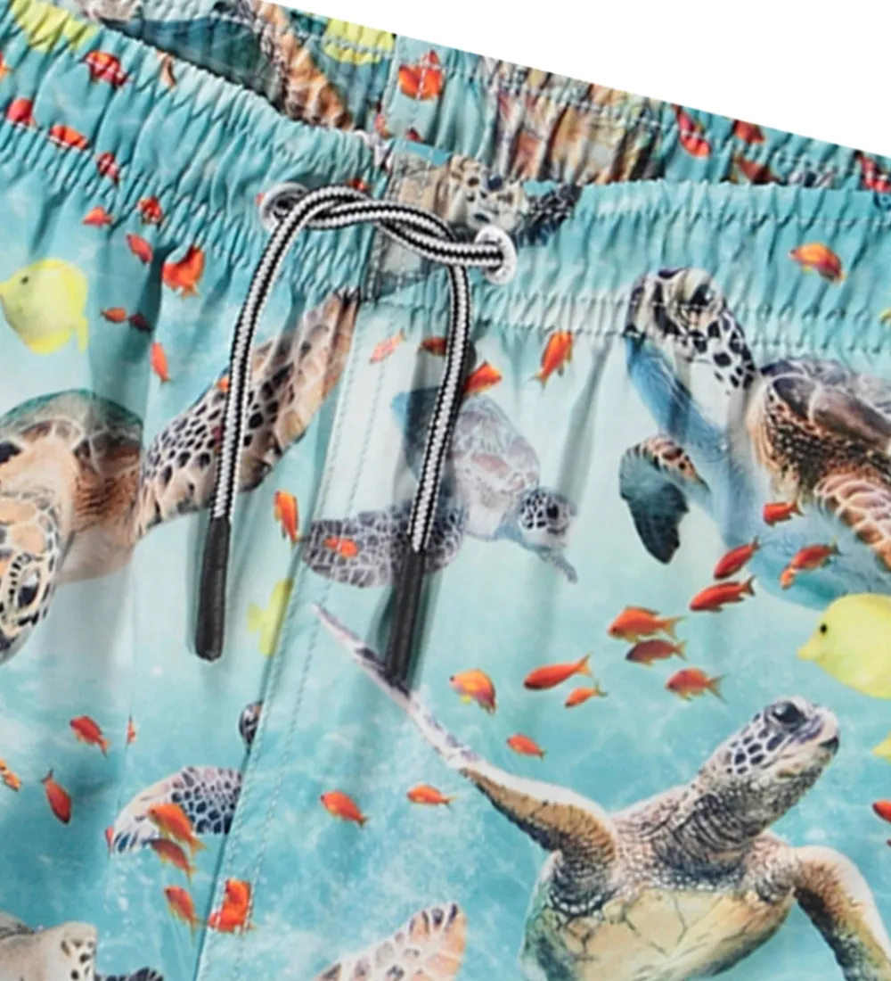 Badetøj-Molo Badeshorts - UV50+ - Niko - Marine Turtles