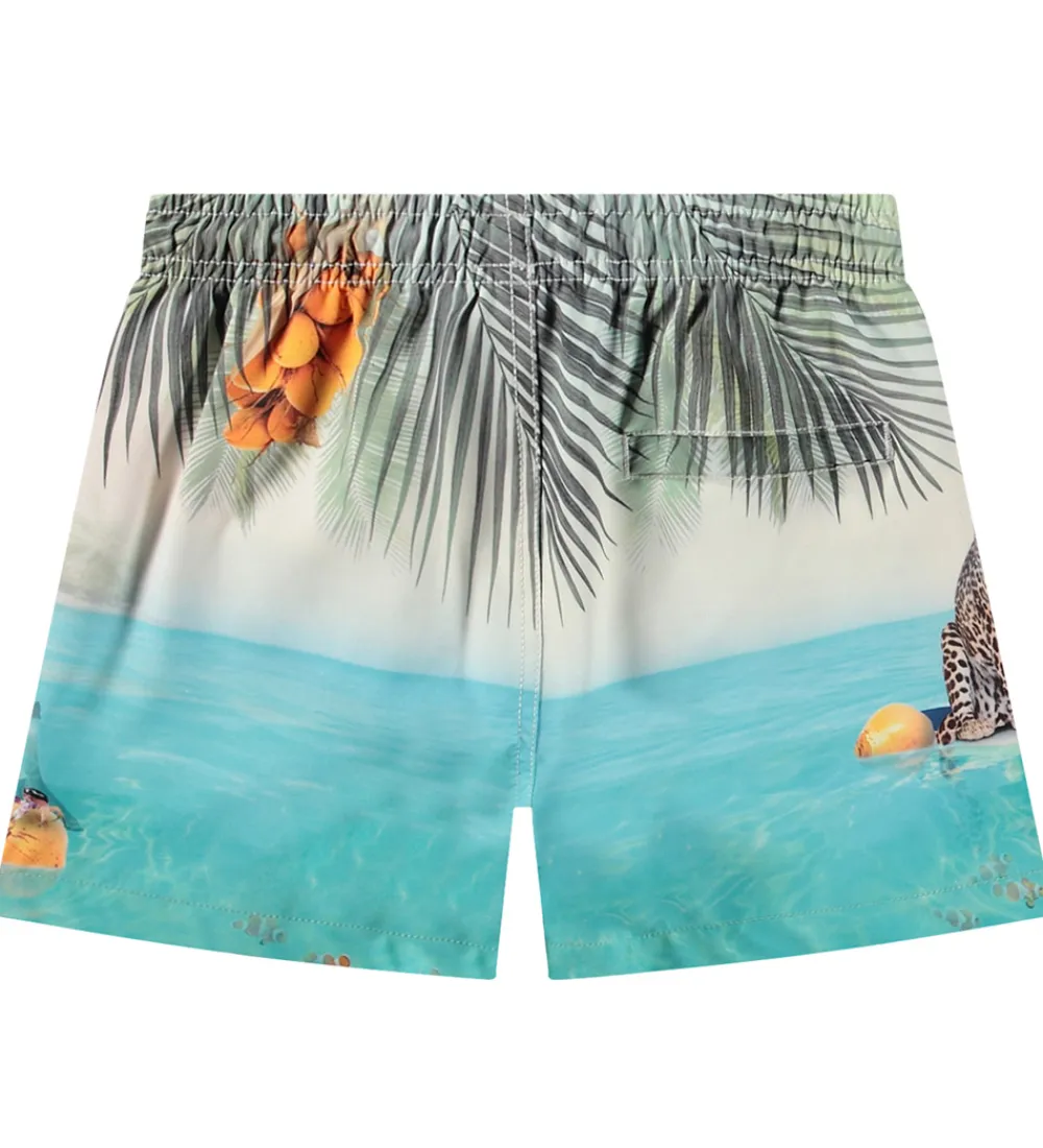 Badetøj-Molo Badeshorts - UV50+ - Niko - Leo On Surf