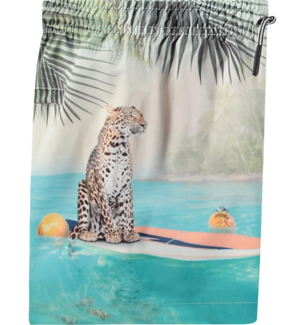 Badetøj-Molo Badeshorts - UV50+ - Niko - Leo On Surf