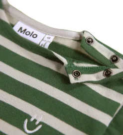 Molo Heldragter*Heldragt - Flint - Pine Stripe