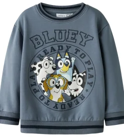 Name It Sweatshirts*Sweatshirt - NmmNimbu - Bluey - Flint Stone
