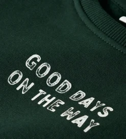Bluser-Name It Sweatshirt - NmmSlade - Pine Grove