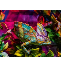 Ravensburger Puslespil*Puslespil - 500 Brikker - Chameleon