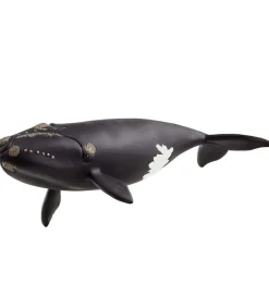 Schleich-Schleich Wild Life - Nordkaper Hval - 19,5 cm - 14878