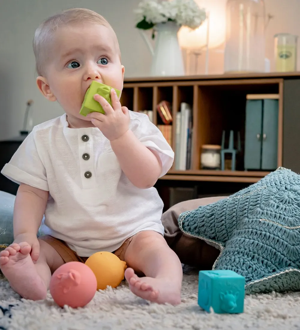 Sophie la Girafe Bolde*Sanselegetøj - So Pure - Multifarvet