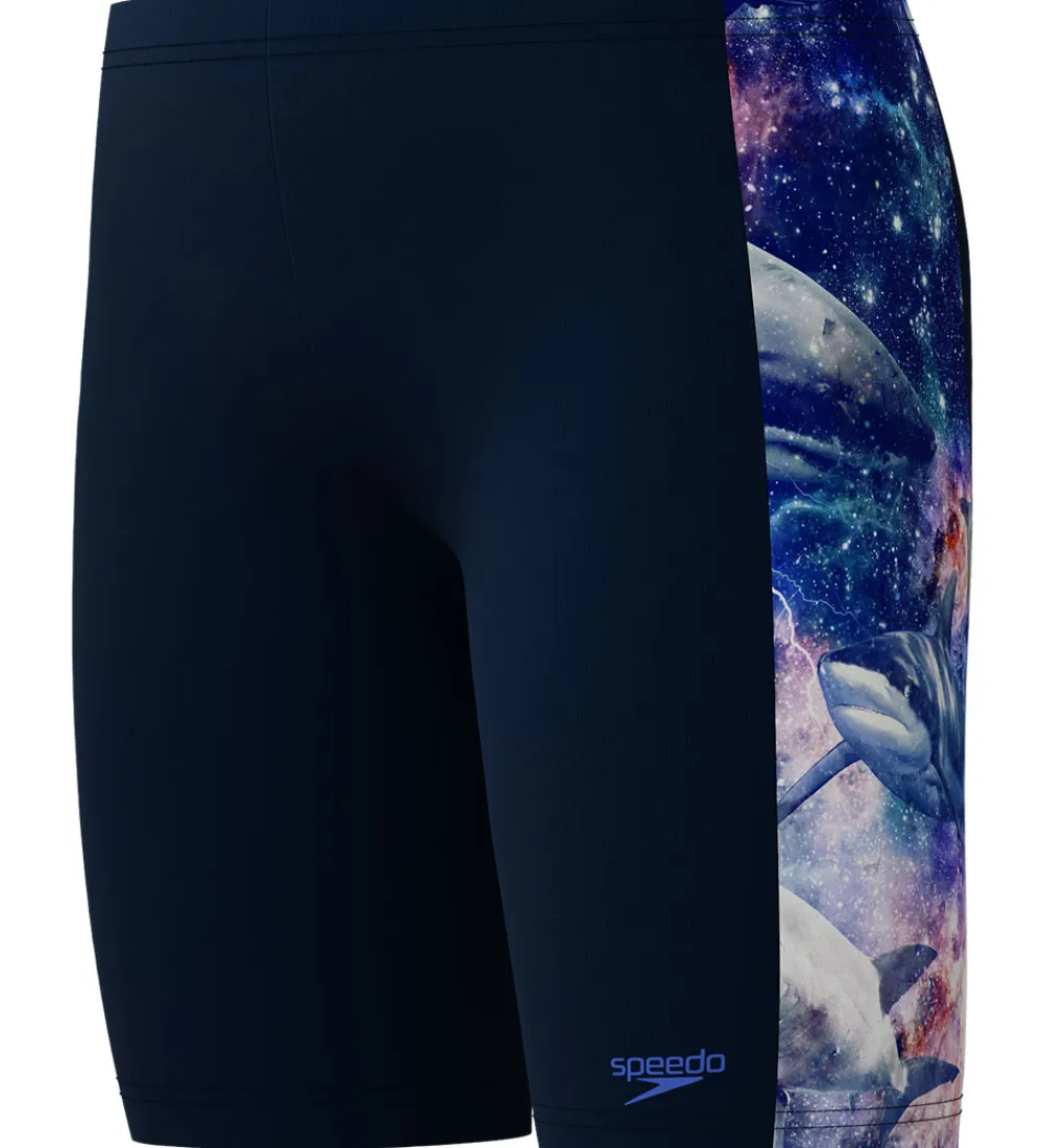 Speedo Svømmetøj*Badebukser - Digital Panel Jammer - Navy m. Hajer